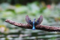 /album/%e3%83%95%e3%82%a9%e3%83%88%e3%82%ae%e3%83%a3%e3%83%a9%e3%83%aa%e3%83%bc/img-8902-jpg/