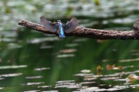 /album/%e3%83%95%e3%82%a9%e3%83%88%e3%82%ae%e3%83%a3%e3%83%a9%e3%83%aa%e3%83%bc/img-9174-jpg/