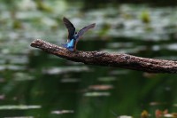 /album/%e3%83%95%e3%82%a9%e3%83%88%e3%82%ae%e3%83%a3%e3%83%a9%e3%83%aa%e3%83%bc/img-9176-jpg/