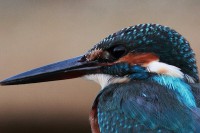 /album/%e3%83%95%e3%82%a9%e3%83%88%e3%82%ae%e3%83%a3%e3%83%a9%e3%83%aa%e3%83%bc/img-9365ss-jpg/