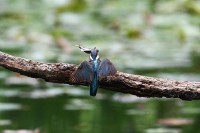 /album/%e3%83%95%e3%82%a9%e3%83%88%e3%82%ae%e3%83%a3%e3%83%a9%e3%83%aa%e3%83%bc/img-9382-jpg/