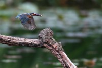 /album/%e3%83%95%e3%82%a9%e3%83%88%e3%82%ae%e3%83%a3%e3%83%a9%e3%83%aa%e3%83%bc/img-9538-jpg/