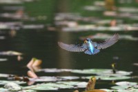 /album/%e3%83%95%e3%82%a9%e3%83%88%e3%82%ae%e3%83%a3%e3%83%a9%e3%83%aa%e3%83%bc/img-9568-jpg/