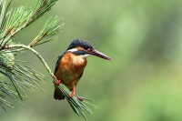 /album/%e3%83%95%e3%82%a9%e3%83%88%e3%82%ae%e3%83%a3%e3%83%a9%e3%83%aa%e3%83%bc/img-9673-jpg/